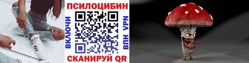Купить  Аткарск  Псилоцибиновые грибы Magic Shrooms 